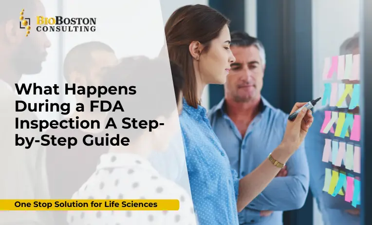 Why Choose Us for Inspection Readiness?