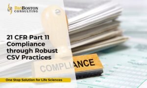21 CFR Part 11 compliant computer system validation