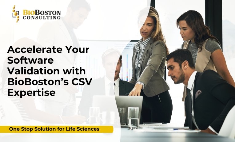 BioBoston Consulting computer system validation experts