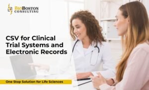 Clinical trial system computer validation process