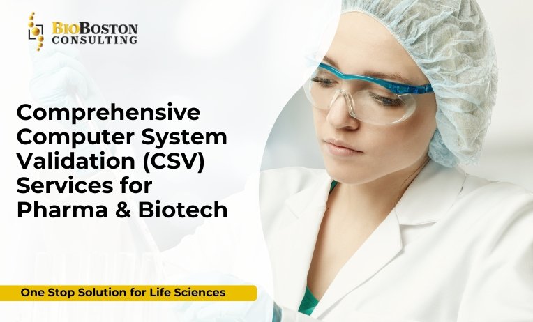 BioBoston Consulting experts performing system qualification