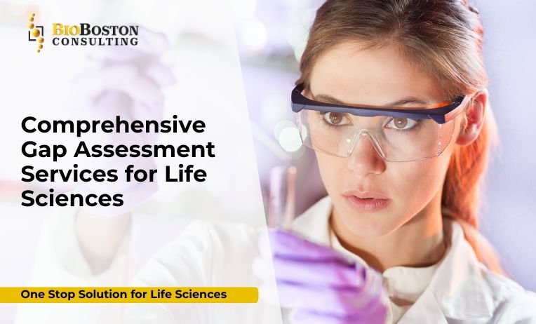 BioBoston Consulting conducting cGMP gap assessment for pharmaceutical company