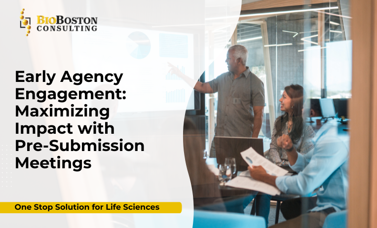 Cross-functional team collaborating for regulatory pre-submission meeting preparation