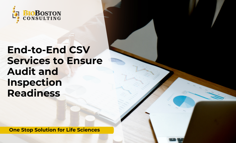 End-to-end computer system validation (CSV) services for life sciences