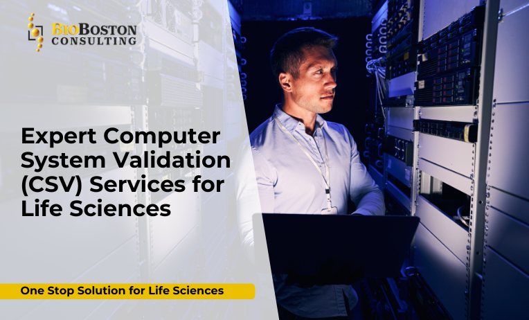 CSV risk assessment and validation planning for FDA and EMA compliance