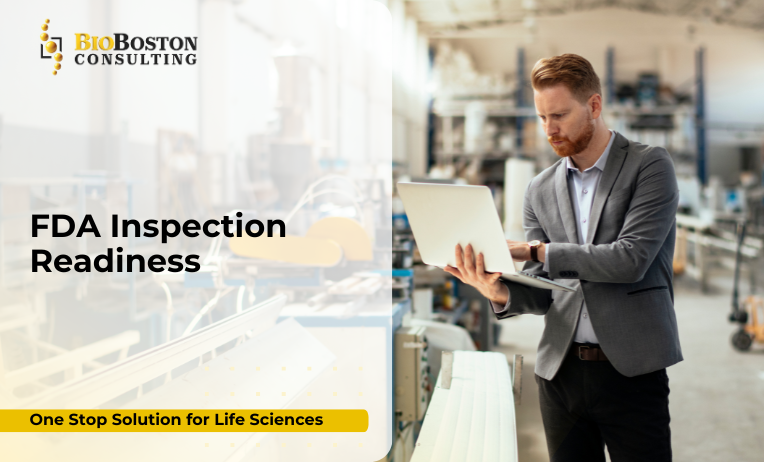 FDA inspection readiness services for life sciences companies
