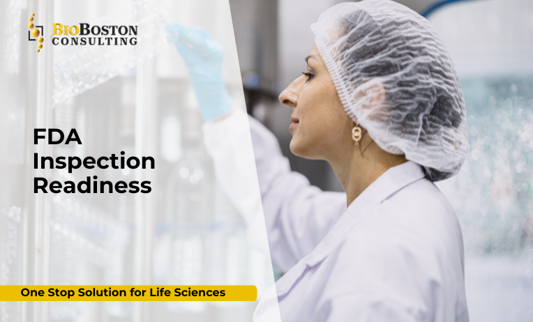 Mock FDA inspections for GMP compliance