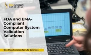 FDA and EMA compliant computer system validation workflow