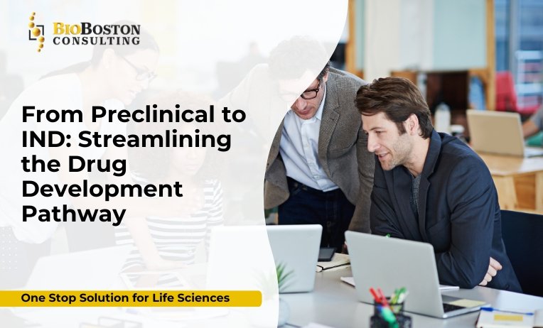 Streamlining drug development from preclinical studies to IND application
