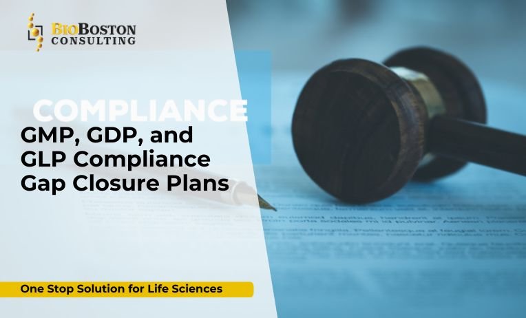 GMP compliance audit and corrective action plan