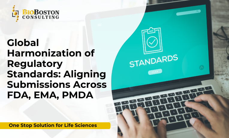 Cross-functional team harmonizing regulatory submissions across regions