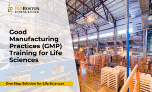 Good Manufacturing Practices (GMP) Training for Life Sciences Teams - BioBoston Consulting