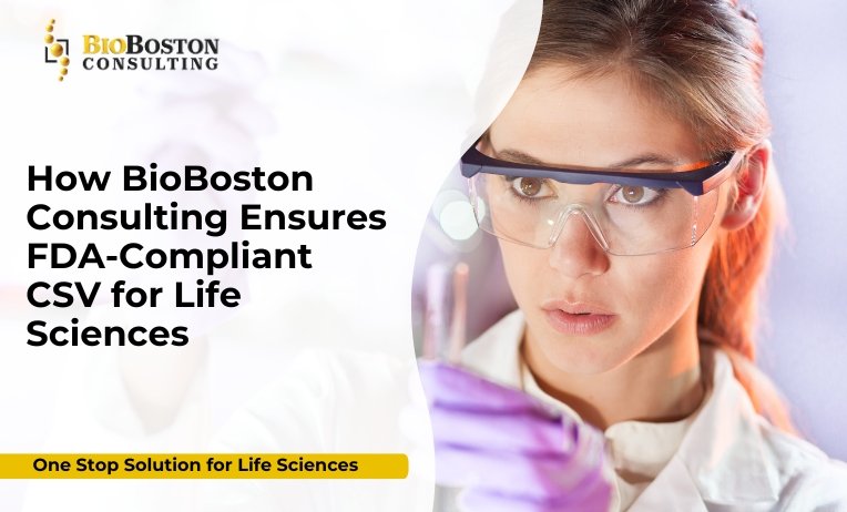 FDA computer system validation for biotech