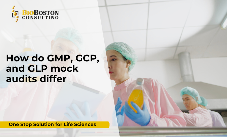 Learn the differences between GMP, GCP, and GLP mock audits