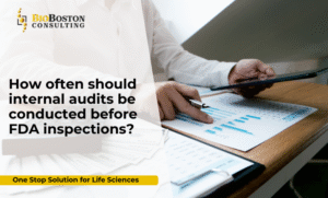 Internal audit program for FDA inspection readiness
