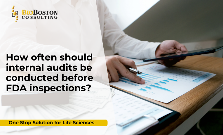 Internal audit program for FDA inspection readiness