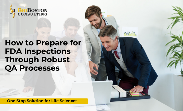 FDA inspection readiness in life sciences
