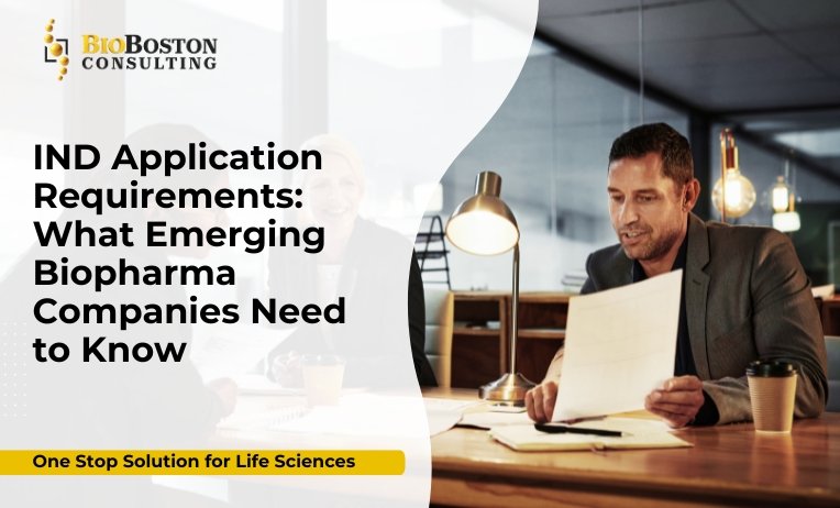 Can BioBoston Consulting help prepare my IND submission?",