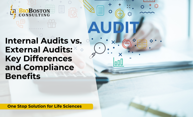 How BioBoston Consulting Supports Audit Readiness