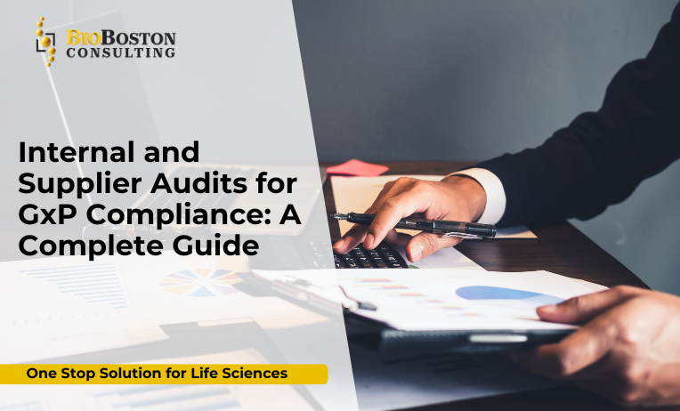 FDA inspection readiness through BioBoston Consulting audits