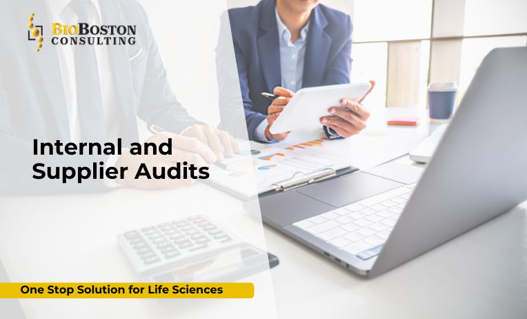 BioBoston Consulting audit readiness training