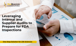 Supplier audit team evaluating GMP compliance