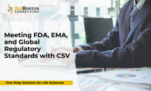 Computer System Validation (CSV) services for FDA, EMA, and global regulatory compliance