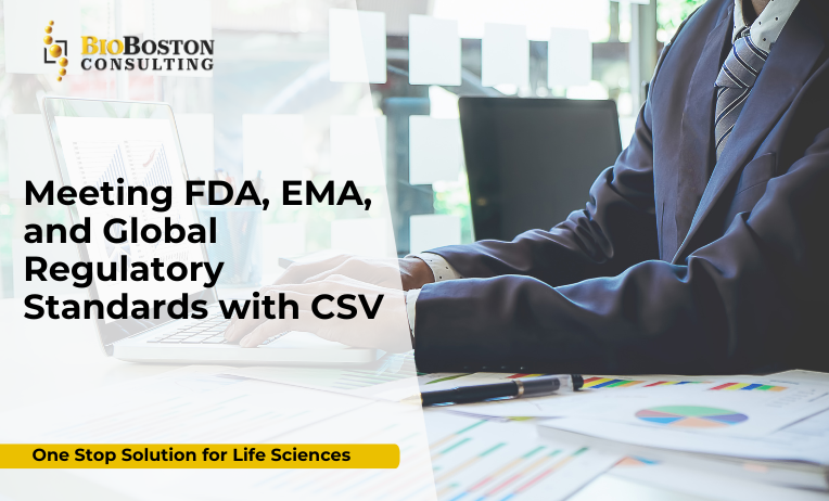 Computer System Validation (CSV) services for FDA, EMA, and global regulatory compliance