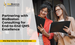FDA inspection readiness consulting