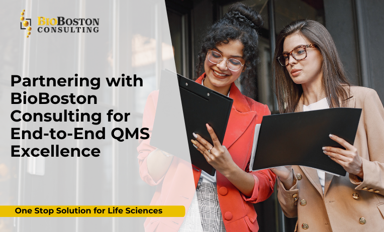FDA inspection readiness consulting