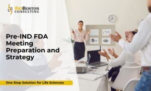 Pre-IND FDA meeting preparation services