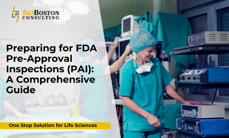 Preparing for FDA Pre-Approval Inspections (PAI): A Comprehensive Guide