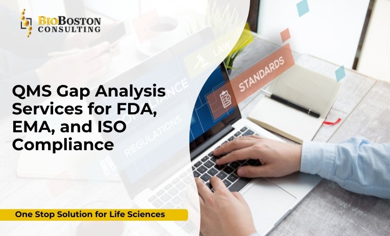 Life sciences company preparing for FDA audit with QMS gap analysis