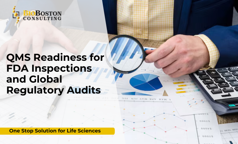 Global regulatory audit preparation with QMS