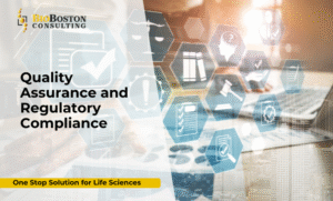 Gap assessment and remediation services for compliance