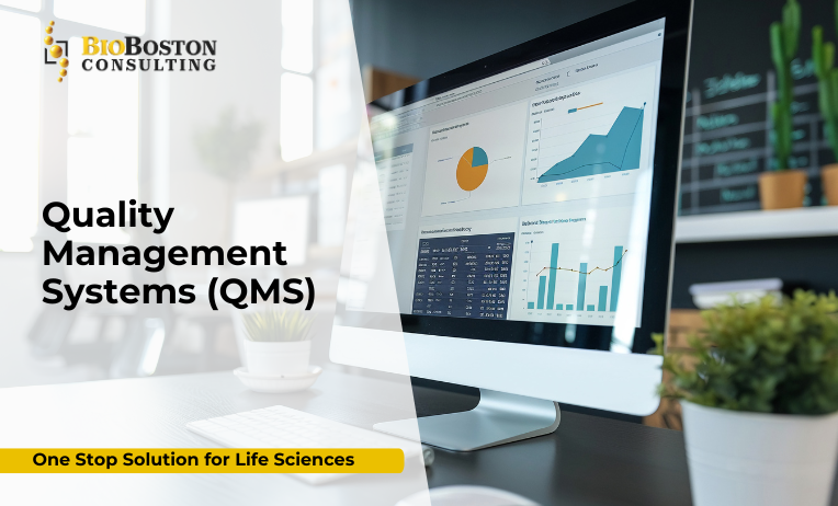 Quality management system framework in life sciences