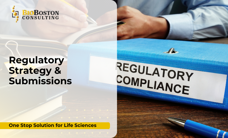 Regulatory Strategy & Submissions for Life Sciences