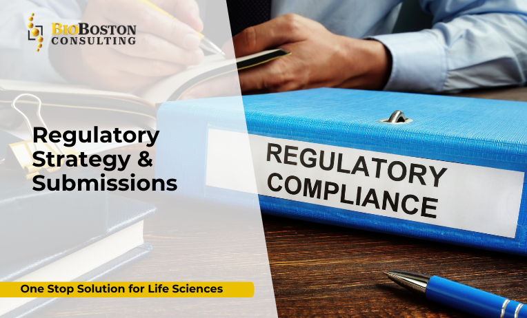 Regulatory Strategy & Submissions: