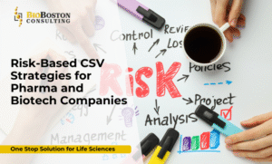BioBoston Consulting system validation and GxP compliance solutions