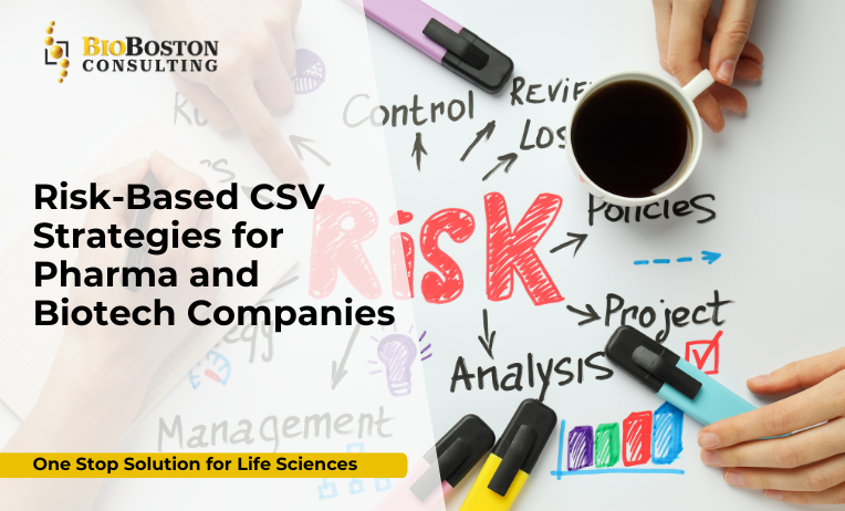 BioBoston Consulting system validation and GxP compliance solutions