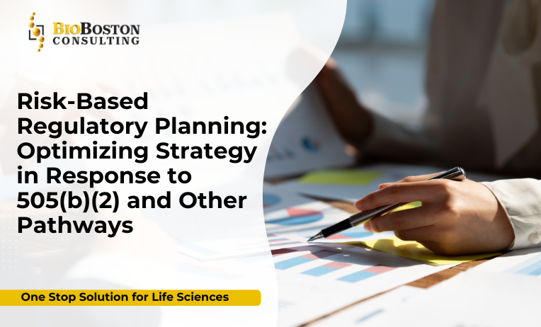 Risk-based regulatory planning for 505(b)(2) drug applications
