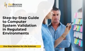 Risk-based computer system validation for pharmaceuticals