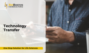 Technology transfer process in life sciences