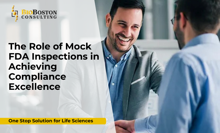 The Role of Mock FDA Inspections in Achieving Compliance Excellence