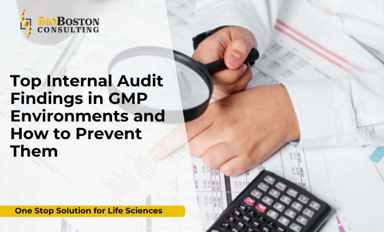 Why Internal Audits Are Essential in GMP Environments