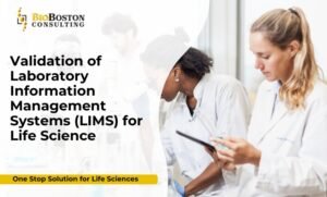 Laboratory Information Management System validation process