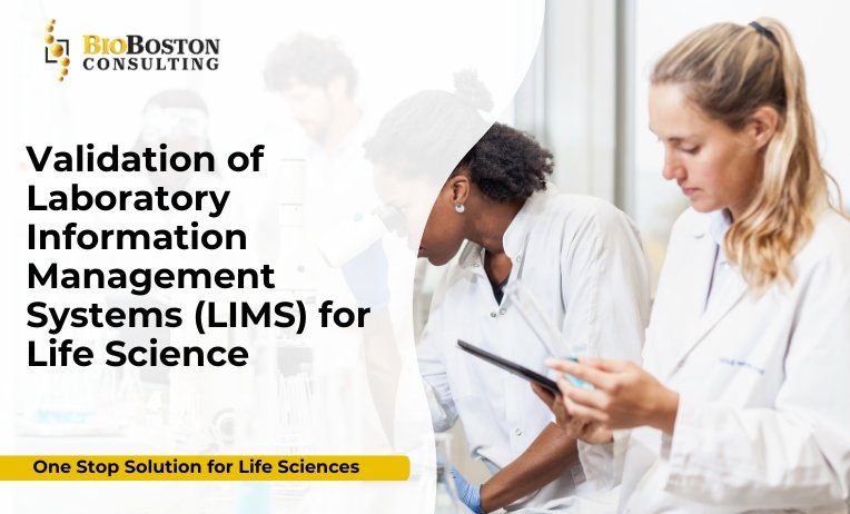 Laboratory Information Management System validation process