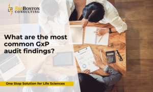 Example of FDA GxP audit checklist