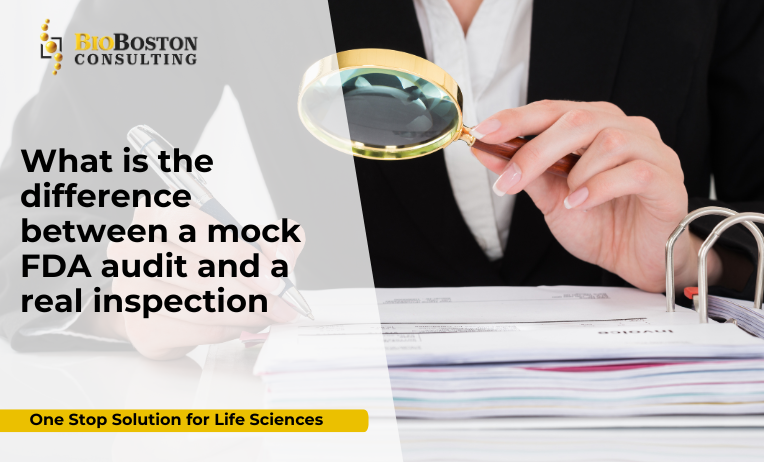 What Is the Difference Between a Mock FDA Audit and a Real Inspection?