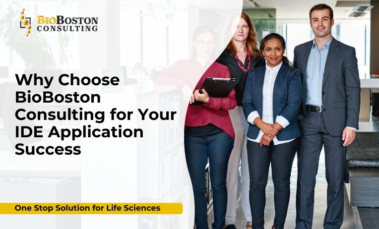 BioBoston Consulting team working on IDE application